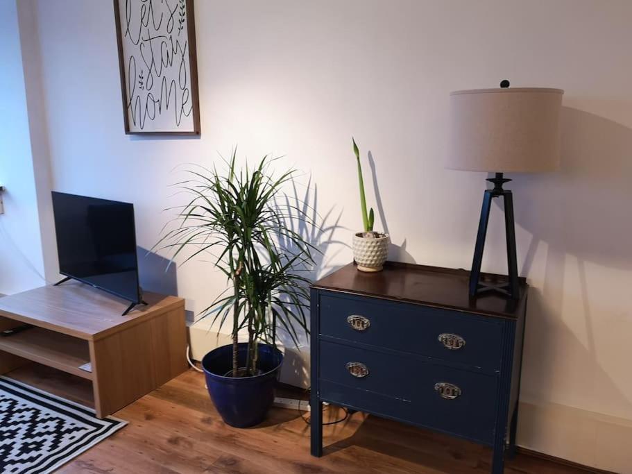 2 Bed Flat, Bounds Green, Piccadilly Line, London N11 Bagian luar foto